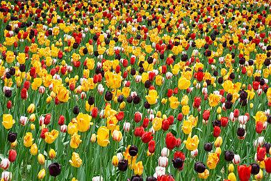 NEOWIZ 2D动作游戏《失魂者》，全球正式推出