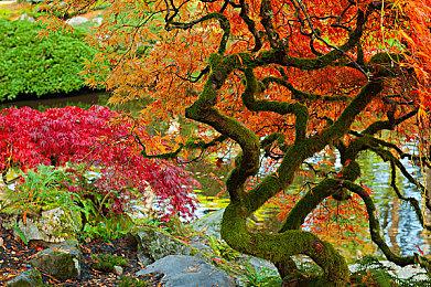 PS5新系统更新24.07-10.20.00发布 调整活动显示形式