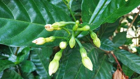 《百英雄传》媒体评分出炉 IGN 7分：值得一玩