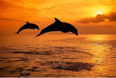 《原神》公布3.6版本「盛典与慧业」4月12日上线